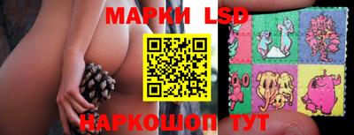 PSILOCYBIN Брянск