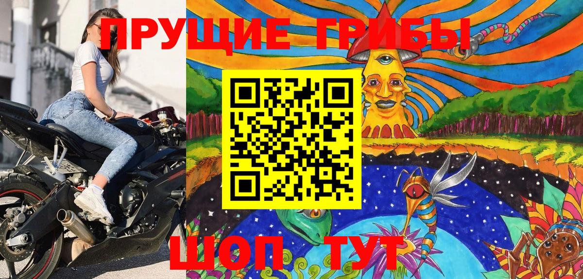 Галлюциногенные грибы GOLDEN TEACHER Большой Камень