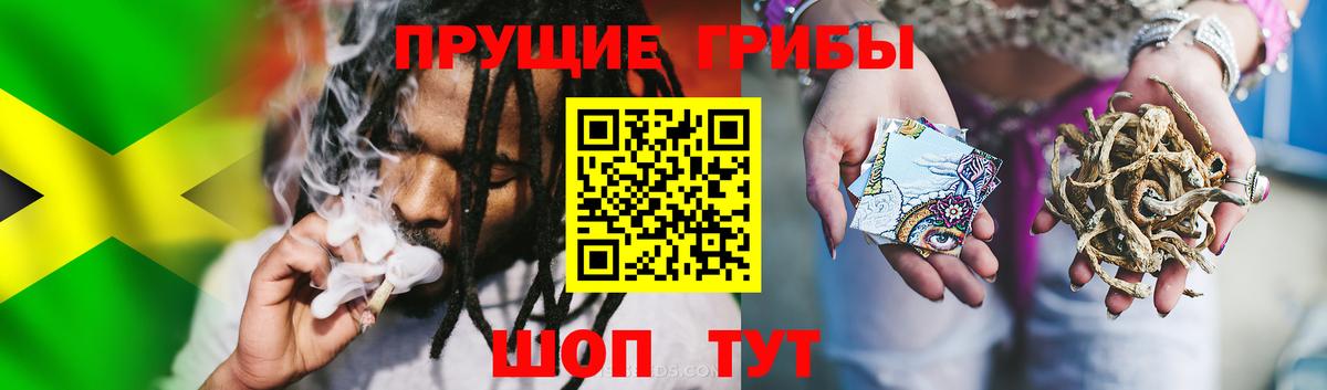 Псилоцибиновые грибы мухоморы  Вход с VPN  Большой Камень 